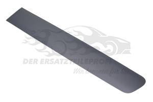 Zierleiste hinten links