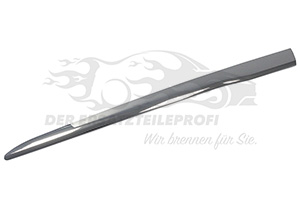 Zier- Schutzleiste für Tür Citroen 98000539VD