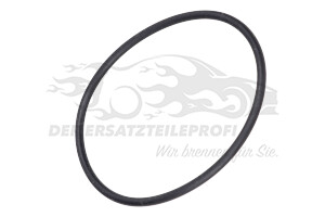 1109AV Ölfiltereinsatz Citroen