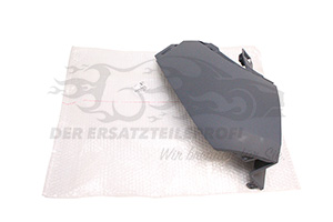 Endstück für Stoßstange Peugeot 1619231680