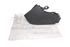 Endstück für Stoßstange Peugeot 1619231780