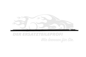 9813910180 Dichtung, Türscheibe Peugeot