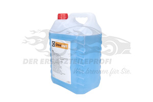 2168316 SCHEIBENREINIGER MIT FROSTSCHUTZ Ford