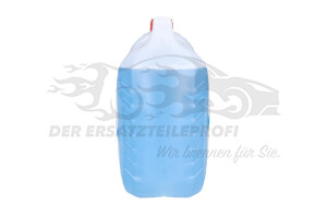 2168316 SCHEIBENREINIGER MIT FROSTSCHUTZ Ford