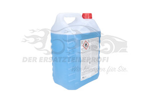 2168316 SCHEIBENREINIGER MIT FROSTSCHUTZ Ford