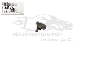 Scheibenwaschdüse