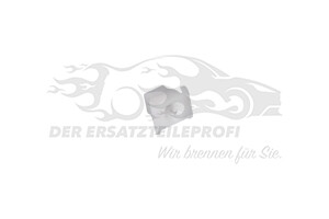 9817524380 HALTECLIP Citroen / Peugeot / Opel
