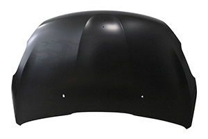 Motorhaube 9803656980
