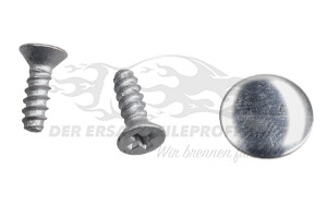 806706656R Türgriff aussen lackierbar Renault