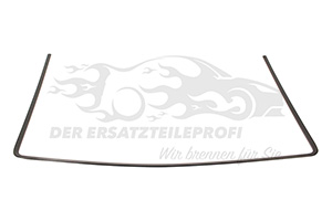 Fensterdichtung (Windschutzscheibe) (NEX)