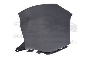 Blende für Stoßstange Renault 850167135R