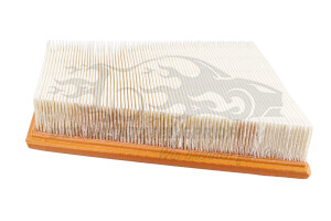 165469029R Luftfilter Renault