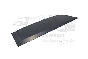 828769175R Zierleiste hinten rechts Renault