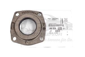 Wellendichtring für Achsdifferential