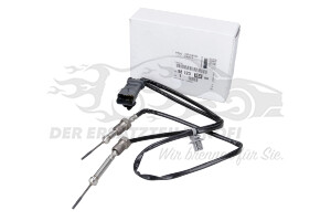 Abgastemperatursensor