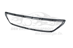 1627679780 Rahmen, Kühlergitter Peugeot