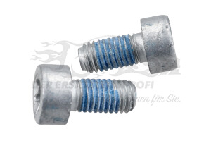 9677835980 Torxschraube M8 x 1,25-16 (VPE 2) Citroen