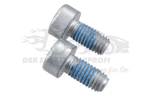 9677835980 Torxschraube M8 x 1,25-16 (VPE 2) Citroen