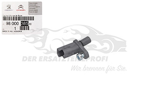 ABS-Sensor Citroen 9800038580