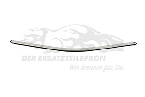 812120 Chromleiste unten rechts (A-Säule) Citroen
