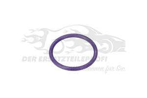 Dichtung für Kühlmittelrohrleitung