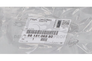 9815106580 Filter, Innenraumluft Citroen / Peugeot / Opel