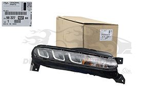 Tagfahrleuchte Citroen 9822790280