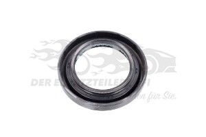 Wellendichtring für Achsdifferential