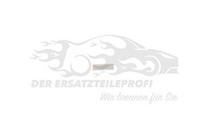 Befestigungsclip für Scheibeneinbau
