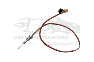 226405263R Abgastemperatursonde vor FAP Renault