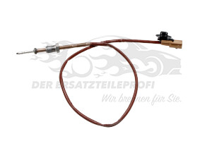 226405263R Abgastemperatursonde vor FAP Renault