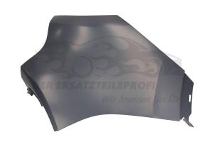 Blende für Stoßstange Renault 850175975R