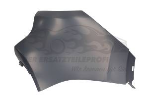 Blende für Stoßstange Renault 850175975R