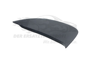 YQ000490XU Blende, Heckklappe Citroen