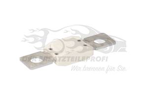 Anlassersicherung 175A