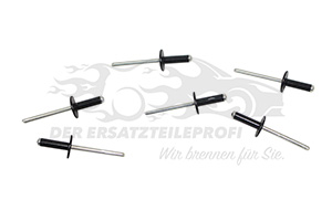 788130068R Schmutzfänger hinten (Satz) Renault