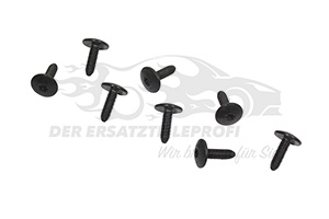 788130068R Schmutzfänger hinten (Satz) Renault
