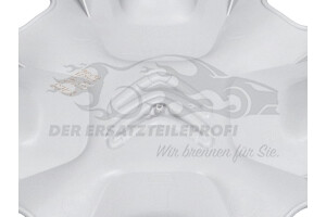 B000880080 Radkappe 14-Zoll, silber (VPE 1) Citroen