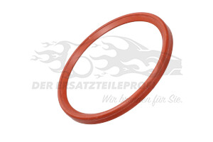 7701068601 Dichtring für Turboladerschlauch Renault