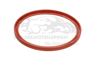 7701068601 Dichtring für Turboladerschlauch Renault