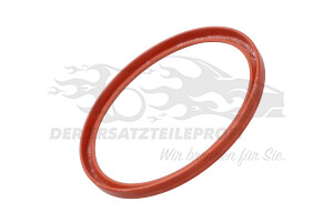 7701068601 Dichtring für Turboladerschlauch Renault