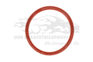 7701068601 Dichtring für Turboladerschlauch Renault