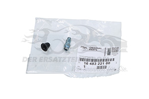 Entlüfterschraube für Bremssattel Citroen 1648322180