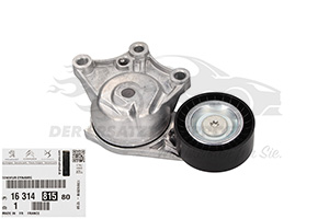 Spannrolle für Keilrippenriemen Citroen 1631481580
