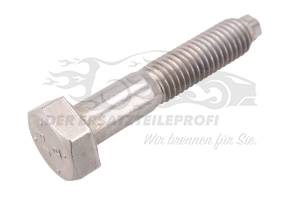 Schraube für Traggelenk Citroen 9676149980