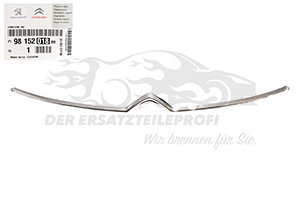 Citroën-Winkel Citroen 9815201880