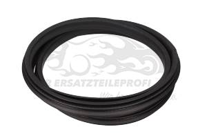 Türdichtung Renault 808320004R