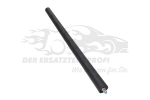9808547980 Antennenstab Citroen