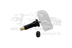 2197279 Radsensor, Reifendruck-Kontrollsystem Ford