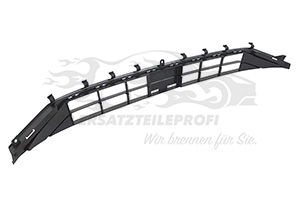 2215673 Kühlergitter Ford